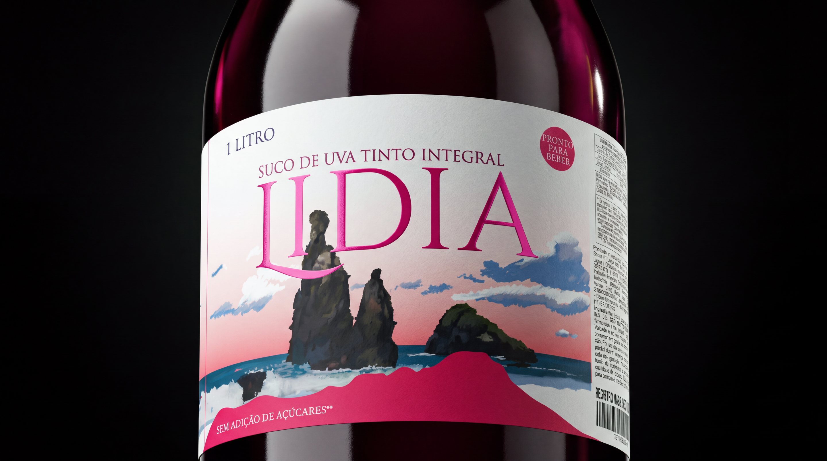 Suco de uva tinto integral Lidia